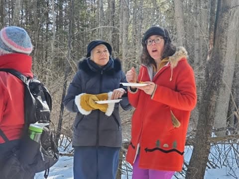 Winter sugar bush gathering